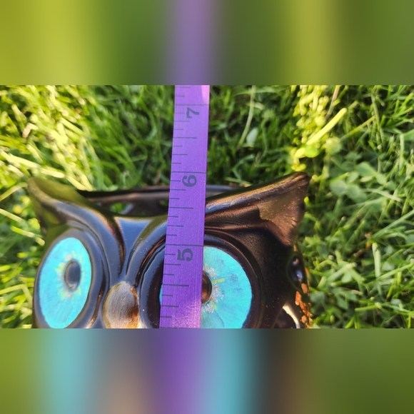 Hand Painted Decorative Owl - Picture 11 of 11